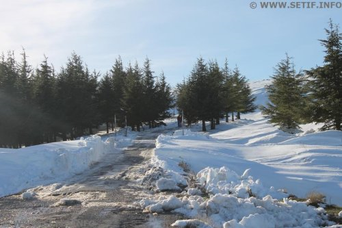 Paysage du Mont Megres Sétif